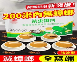 蟑螂蟲蟻一窩淨